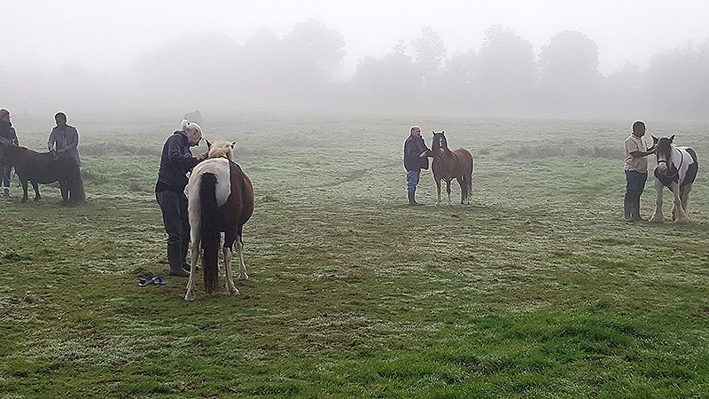Groupe equipes professionnelles